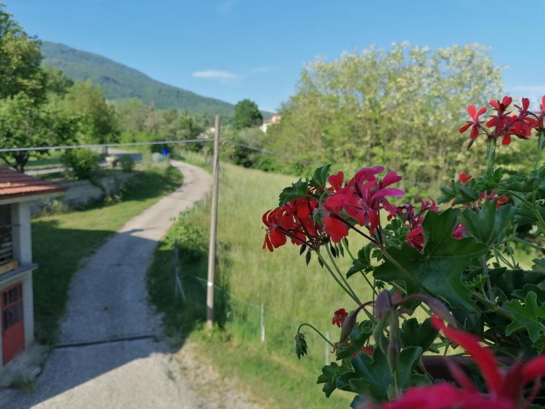 La Soffitta Di Anita Villa Bedonia Exterior foto